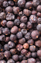 Wacholderbeeren-Hintergrund