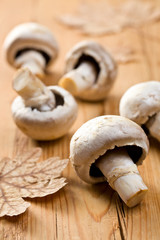 button mushrooms