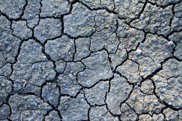 Terreno agrietado