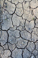 cracked ground - cracks in the ground