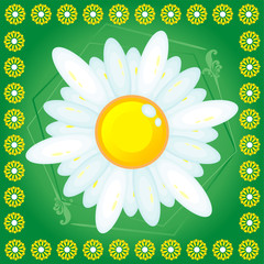 Spring card with a chamomile.