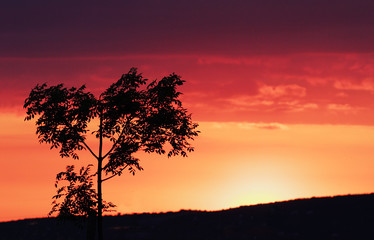 Fototapeta na wymiar Beauty colorful sky at sundown
