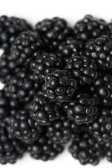 blackberry