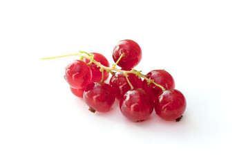 red currant