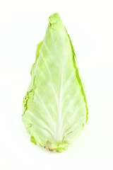 Conical cabbage..cabbage.. cabbage