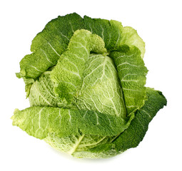 cabbage