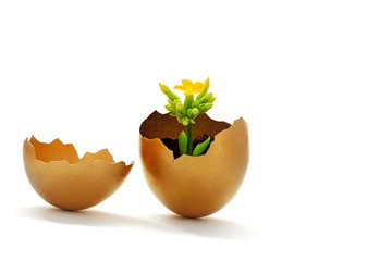 Golden egg new life and easter time