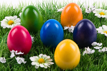 Ostereier in der Wiese