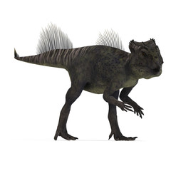 Dinosaur Archaeoceratops. 3D rendering with clipping path and