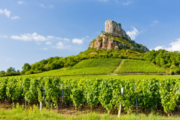 Solutre Rock met wijngaarden, Bourgondië, Frankrijk