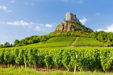 Fototapete Weinberg Solutre Rock mit Weinbergen, Burgund, Frankreich