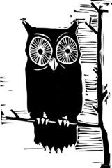 Owl