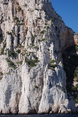 calanques sauvage