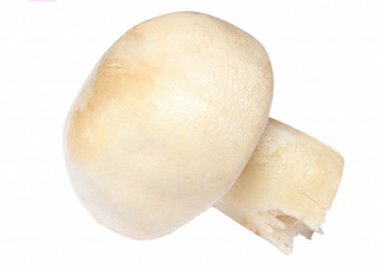 champignon