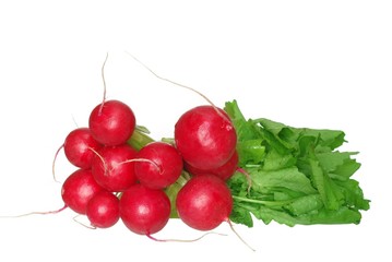 radish from green leaves