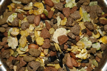 close up of rat food