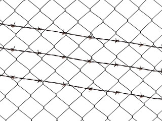 Fototapeta premium Metal barbed wire fence protection isolated on white