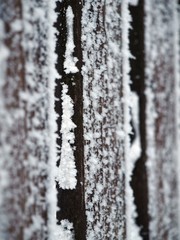 Fototapeta premium Eiskristalle am Holzzaun