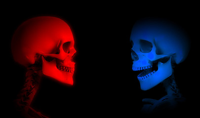 Red And Blue Skeletons