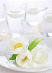 Obraz na płótnie Canvas white tulip on white napkin, soft focus