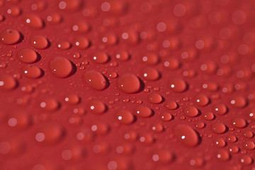 Colored Water Drops