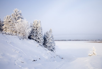Snow-covered trees on the banks