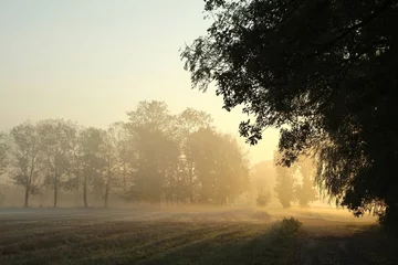  Sunrise over the meadow in a foggy autumn morning © Aniszewski