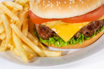 hamburger with fries