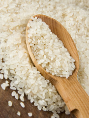 rice grain in spoon