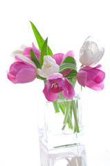 Bouquet of fresh tulips