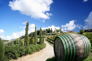 Obraz premium Vineyard in Chianti, Tuscany, Italy, famous landscape
