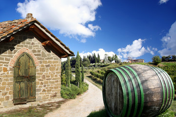 Obraz premium Vineyard in Chianti, Tuscany, Italy, famous landscape