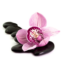 stones with orchid