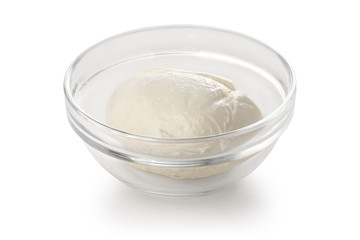 buffalo mozzarella cheese