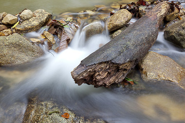 Beautiful Water Flowing