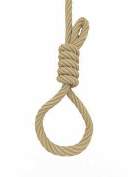 Noose from the gallows