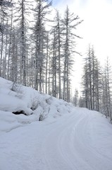 route en hiver