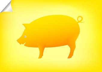 Golden pig