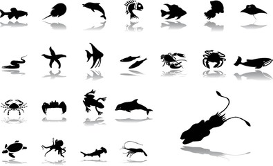 Big set icons - 34. Fish