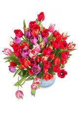 Tulpenstrau&szlig; III