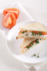Vegetarian sandwiches