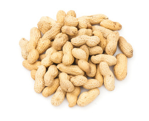Peanut