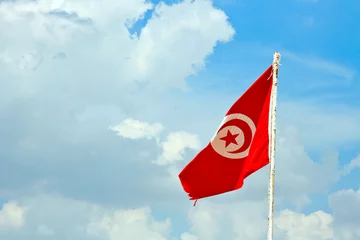 Deurstickers tunisia flag © mitarart
