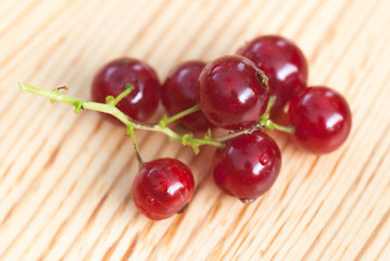 red currant