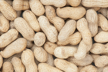 Peanut
