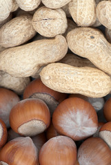nut