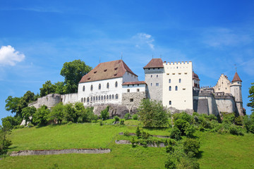 Obraz na płótnie Canvas Lenzburg castle