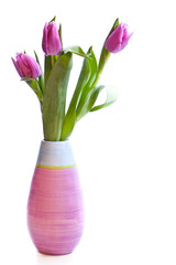 A bouquet of three tulips in a vase isolated over white backgrou