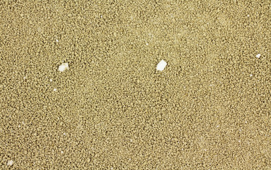 Bentonite yeast nutrient for wine making