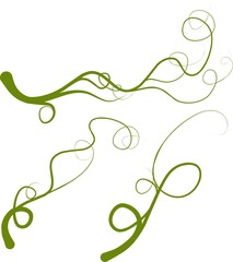 vector design element curve, spring vectorial green liana - obrazy, fototapety, plakaty